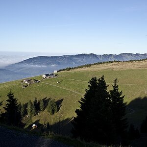 DSC 2767