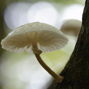 im Gegenlicht
