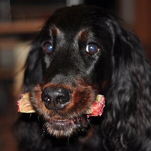 Ciara 8 Jahre