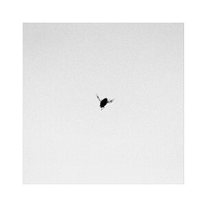 fly