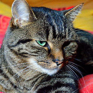 DSC 0004 007 2