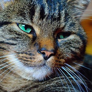 DSC 0013 012 2
