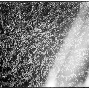 Wasser PZ14910