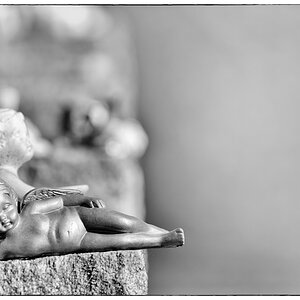 Wasser PZ14916