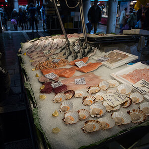 fisch