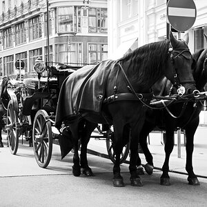 Wien