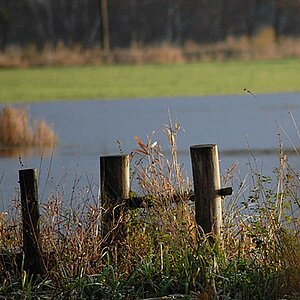 Auf die zugwiese 12.11.13 143