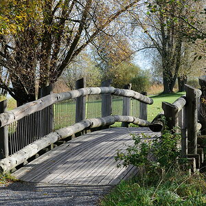 Seeburgpark, Kreuzlingen, Bodensee
DSD 6002