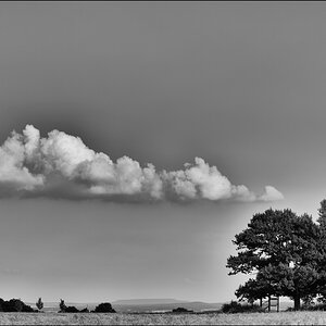 user5768 pic369746 1374517465