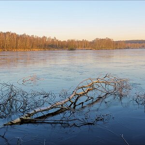 aacomp Hasenmoor 20120115 0190