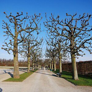 DSC 5617
