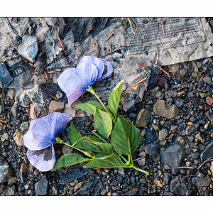 Plastikblume