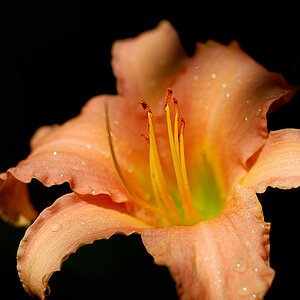 DSC 5247