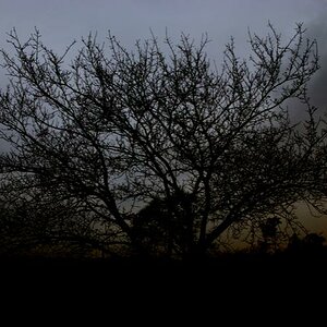 Dunkelwelt 1b