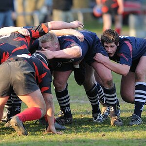 compaRugby 215 8