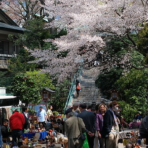Flohmarkt in Shinjuku / Harajuku