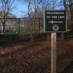 ballfields