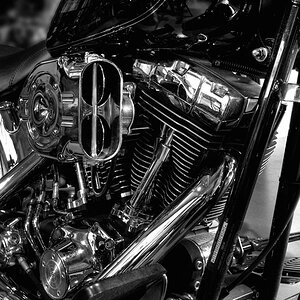 Harley