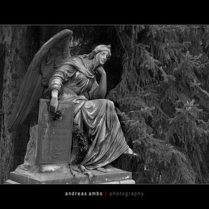 Hauptfriedhof Goettingen 0066 Kopie