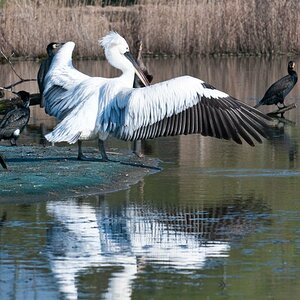 Gelsenkirchen Zoo
