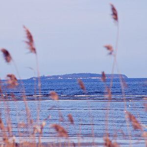 Balticblue