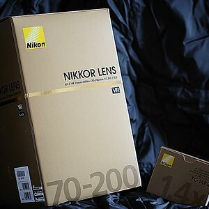 DSC4004a