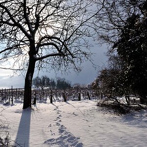 Winterlandschaft, Kleine Kalmit