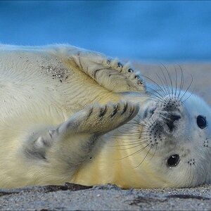 aacomp Helgoland 20121226 14551a