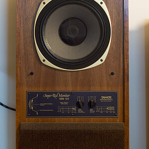 Tannoy SRM 12X 1039395