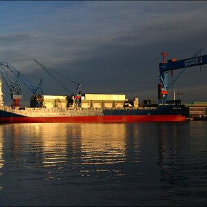 comp DSC 2981