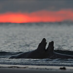 aacomp Helgoland 20130112 1869