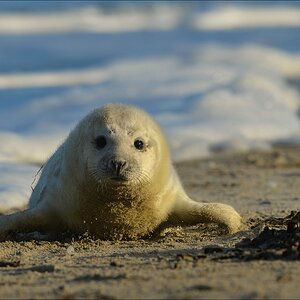 aacomp Helgoland 20130111 0514