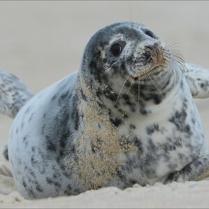 aacomp Helgoland 20130111 1221