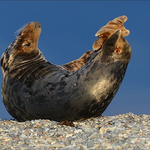 aacomp Helgoland 20130112 5521