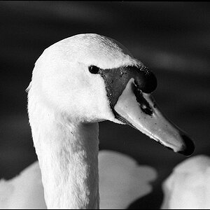Tiere 30 12 2013 20