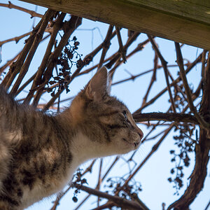 20140101 P1060094