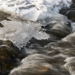 Winter 004