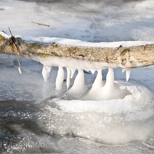 Winter 003