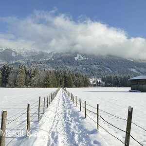 Winter 001