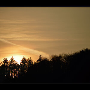 Abend PZ15280