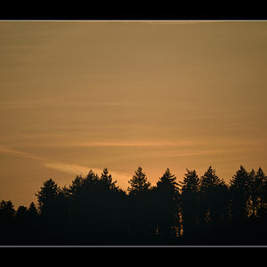 Abend PZ15286