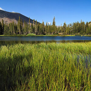 DSC 4879 kl Tioga Lake 1000