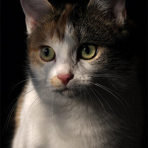 IMG 4645 khp wilma 800 lr