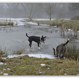 130217 Glems 017,
2013