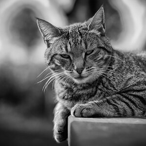 DSC 5295 DxO 2