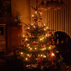 Der Weihnachtsbaum meiner Oma