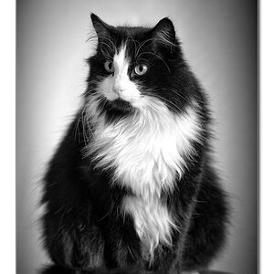 Filou8