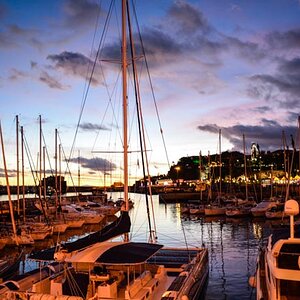 Funchal Harbour Ships
