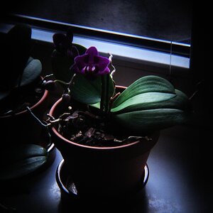 pinhole