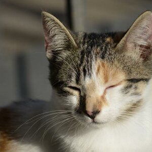 Schwester 2
